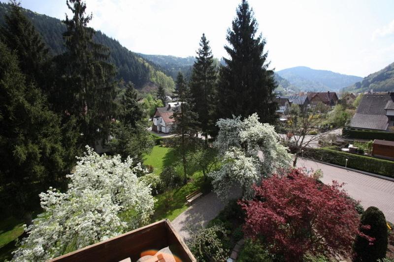 Hotel Garni Cafe Schacher Oberwolfach Dış mekan fotoğraf